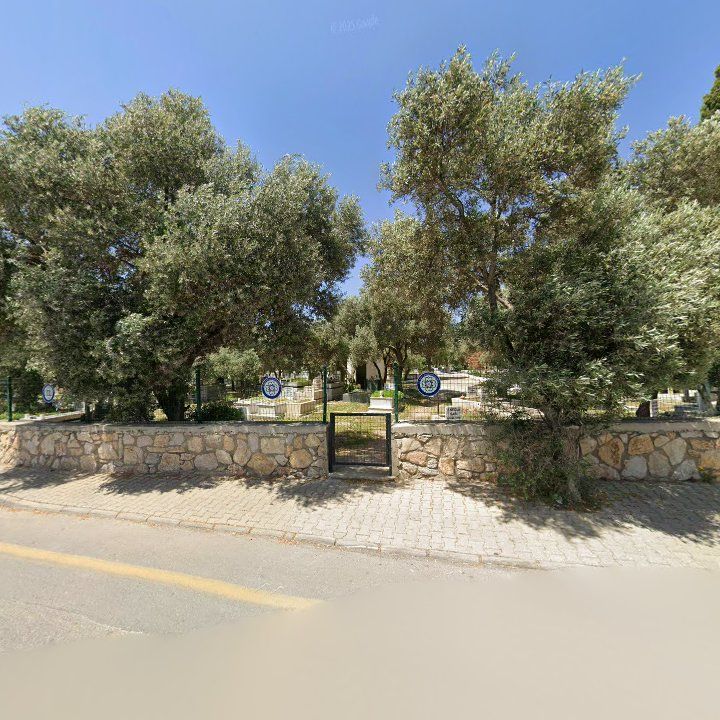 Fotoğraf 11