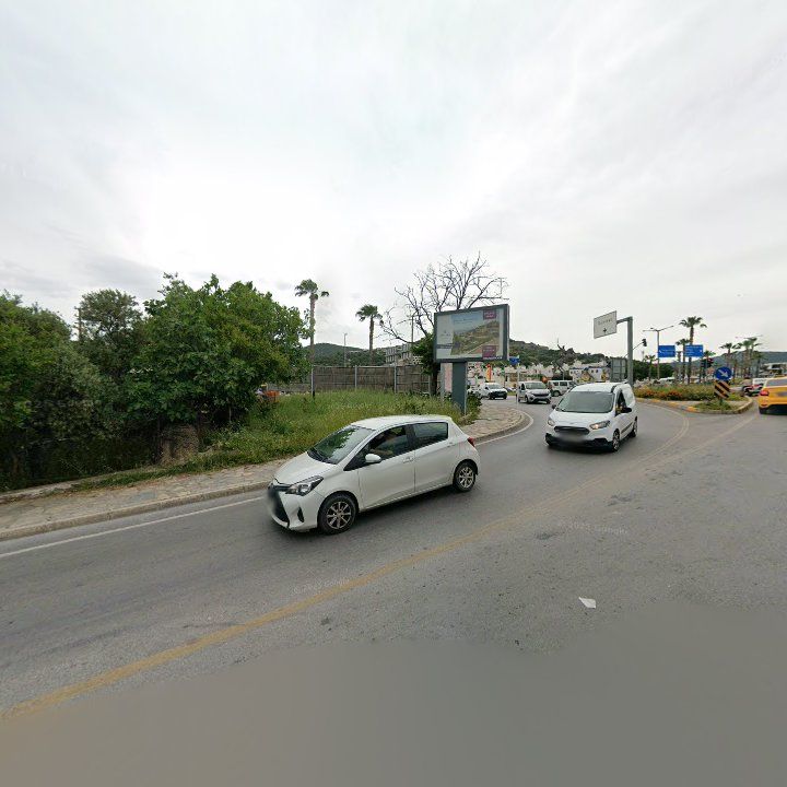 Fotoğraf 10