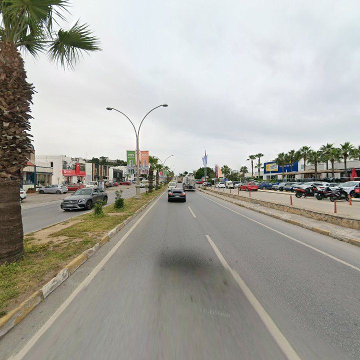 Fotoğraf 11
