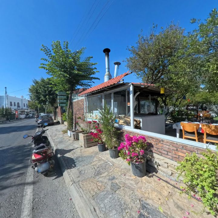 Fotoğraf 15
