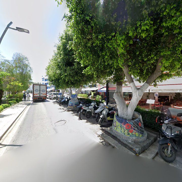 Fotoğraf 14