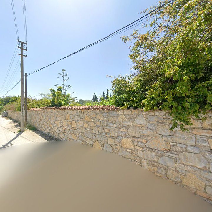 Fotoğraf 12