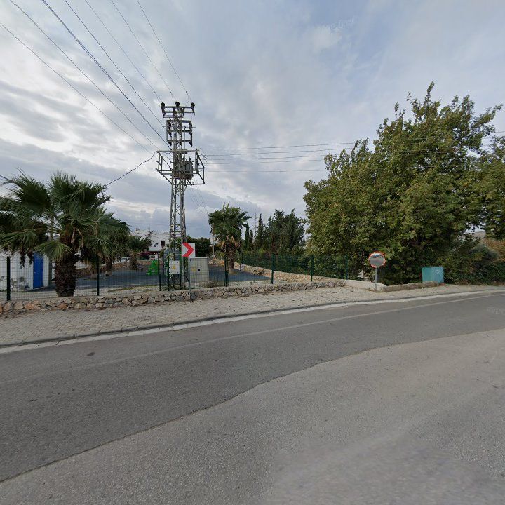 Fotoğraf 10