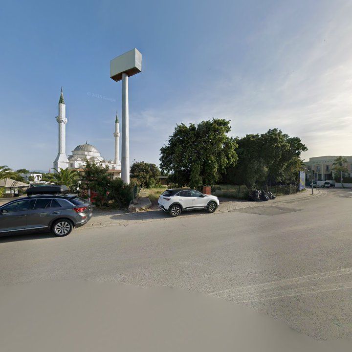 Fotoğraf 11