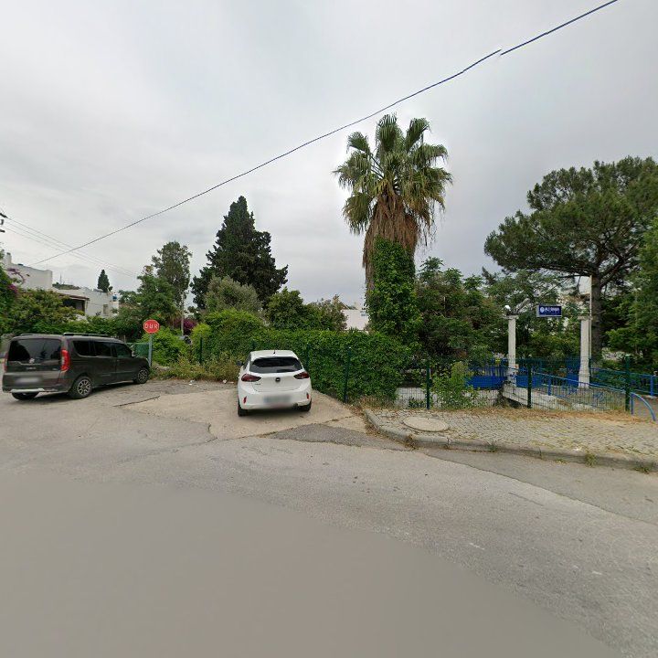 Fotoğraf 9