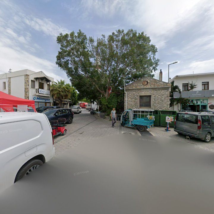 Fotoğraf 9