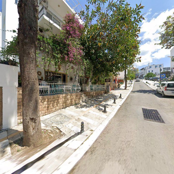 Fotoğraf 14