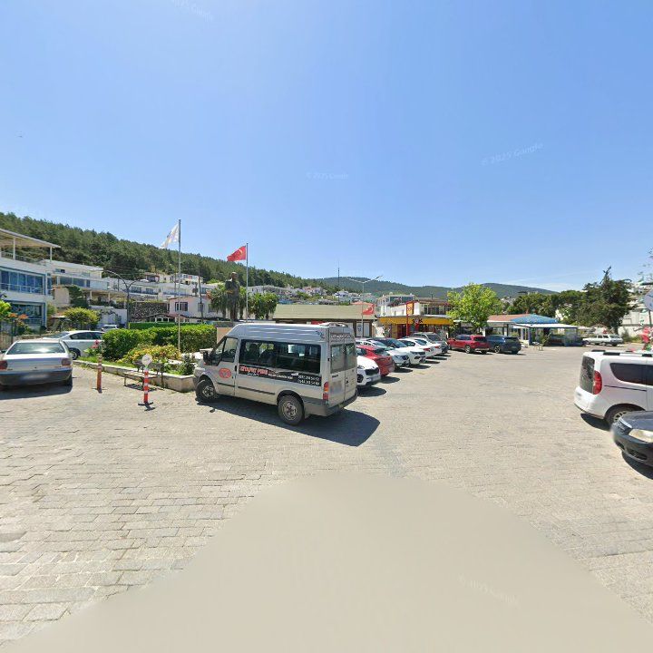 Fotoğraf 10