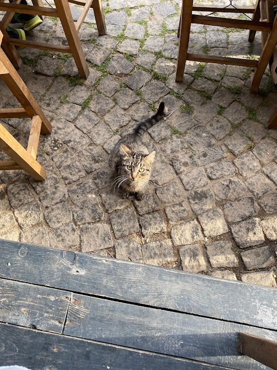 Yorum fotoğrafı 1