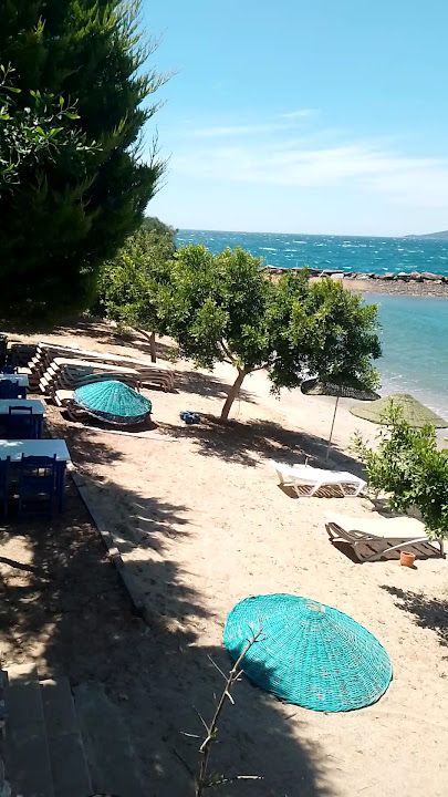 Fotoğraf 26