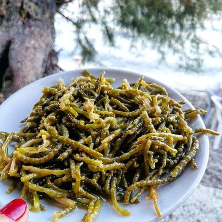 Fotoğraf 32