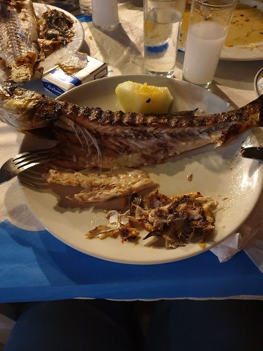 Fotoğraf 29