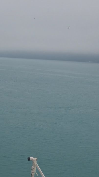 Fotoğraf 32