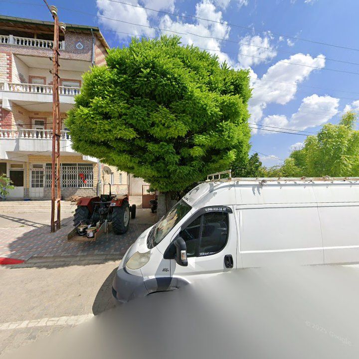 Fotoğraf 3