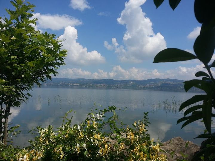 Fotoğraf 49