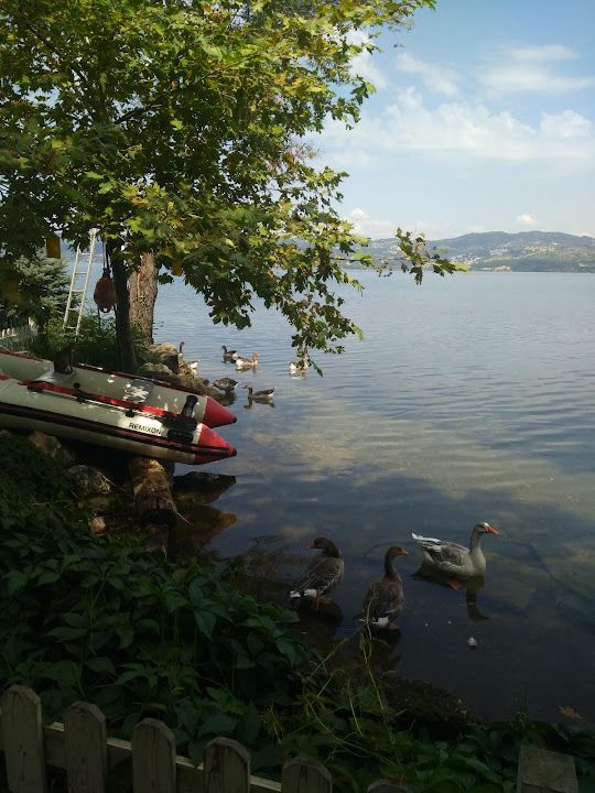 Fotoğraf 46