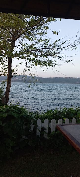 Yorum fotoğrafı 4