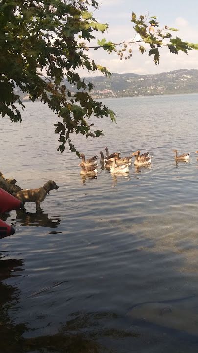 Fotoğraf 48