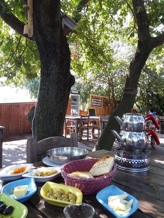 Fotoğraf 35