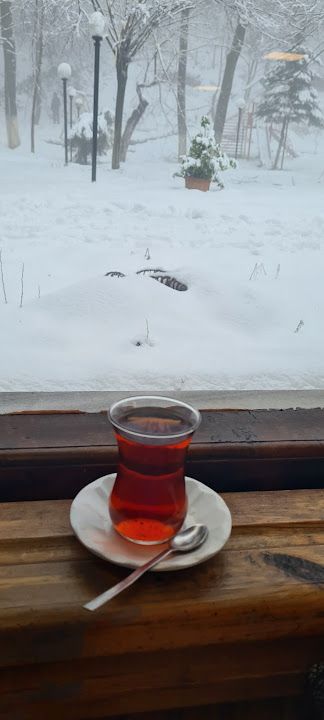Fotoğraf 41