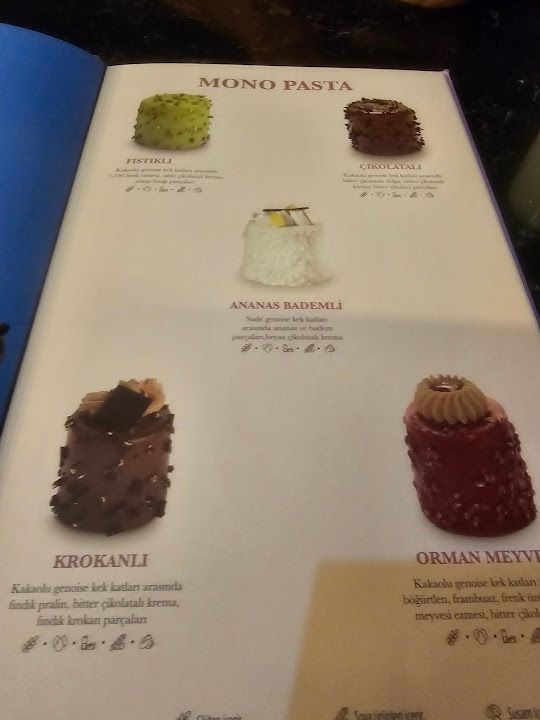 Fotoğraf 31