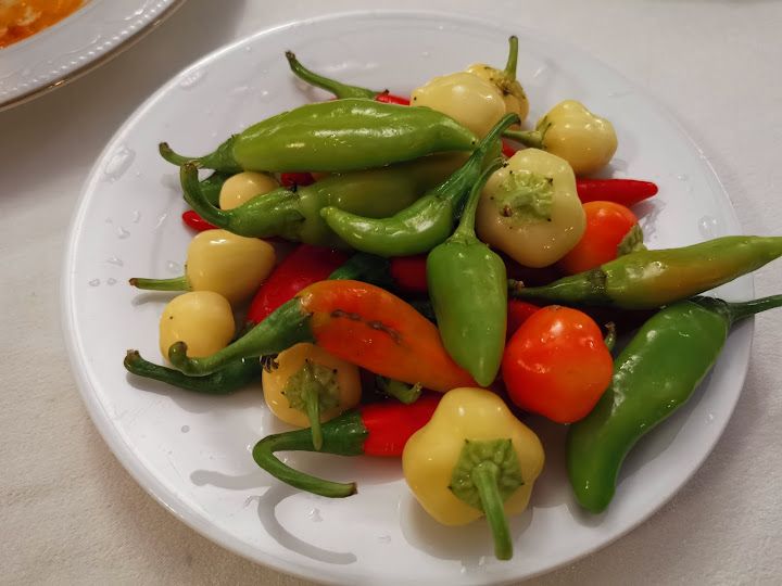 Fotoğraf 12