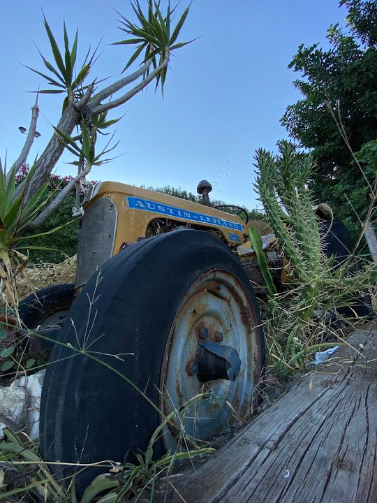 Yorum fotoğrafı 2