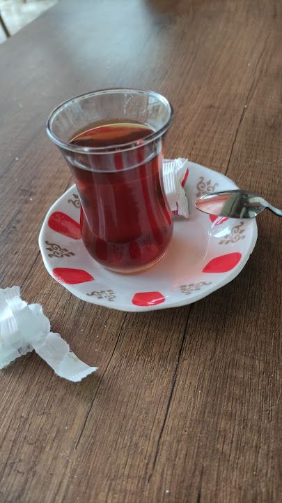 Fotoğraf 16