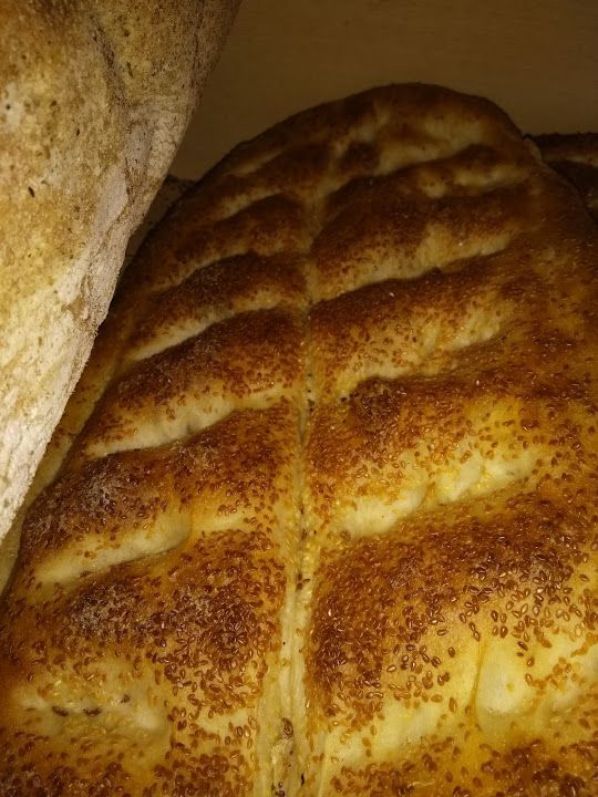 Fotoğraf 15