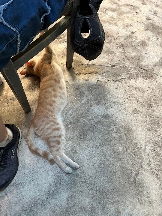 Yorum fotoğrafı 4