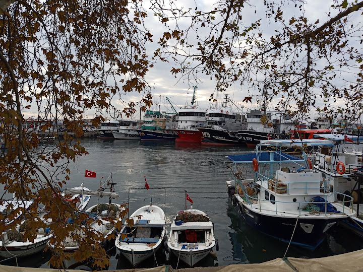 Fotoğraf 13