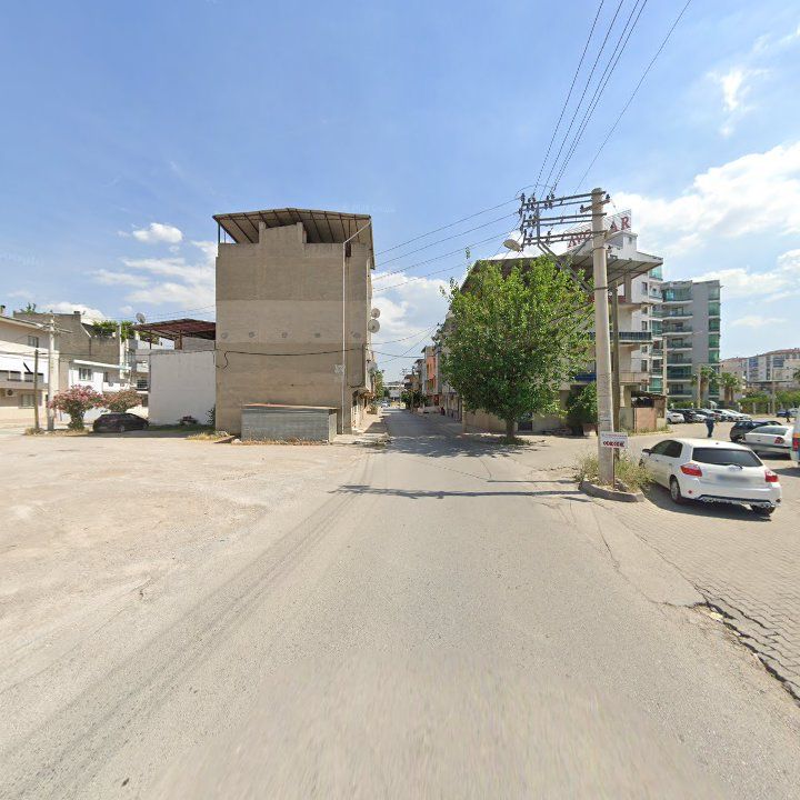 Fotoğraf 8