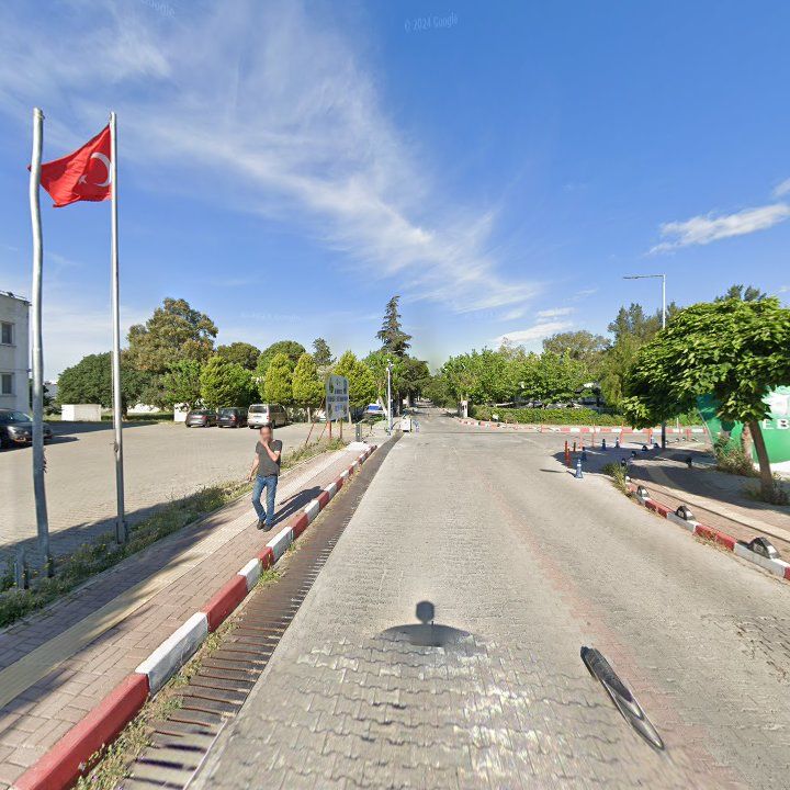 Fotoğraf 7