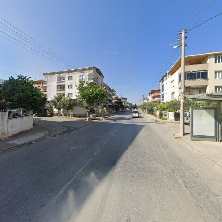Fotoğraf 8