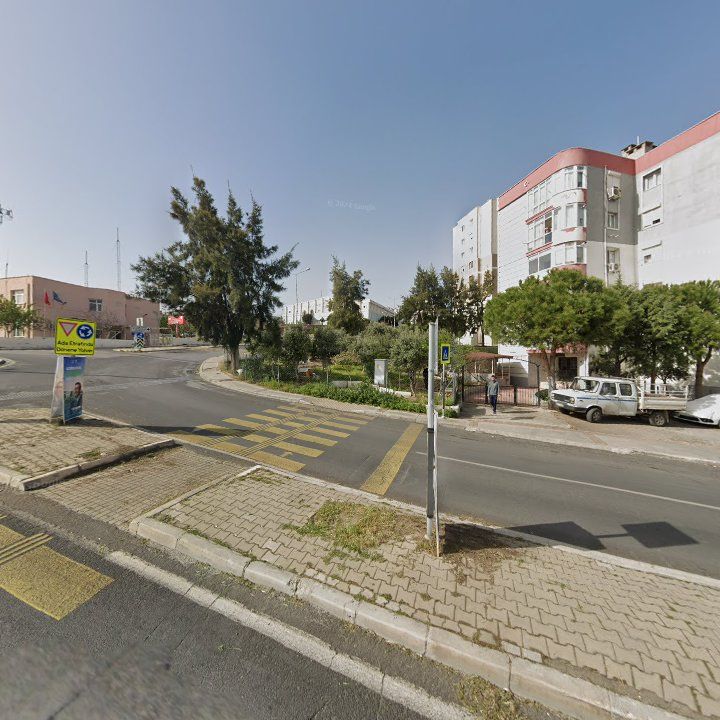 Fotoğraf 8