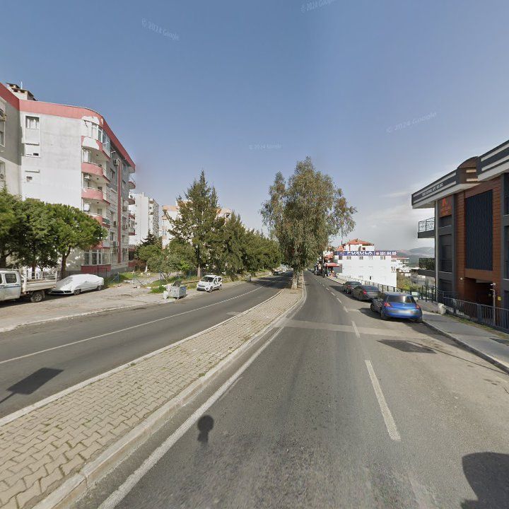 Fotoğraf 9