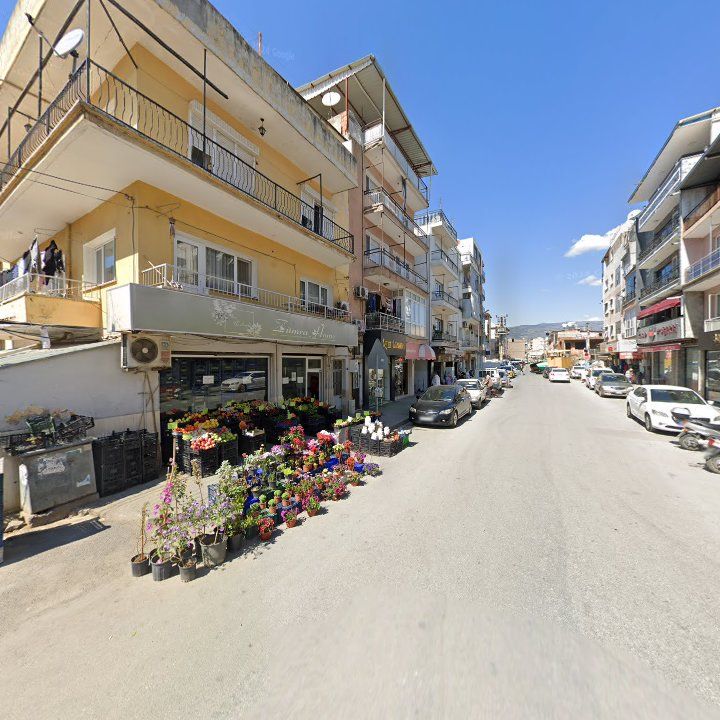 Fotoğraf 8