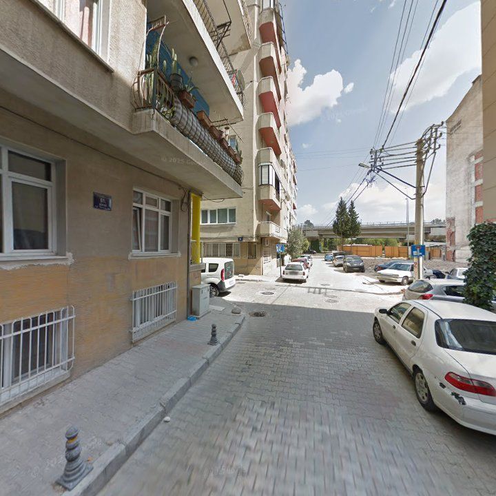 Fotoğraf 10