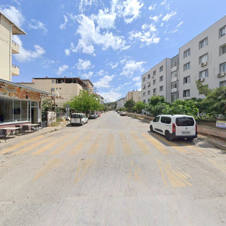 Fotoğraf 4