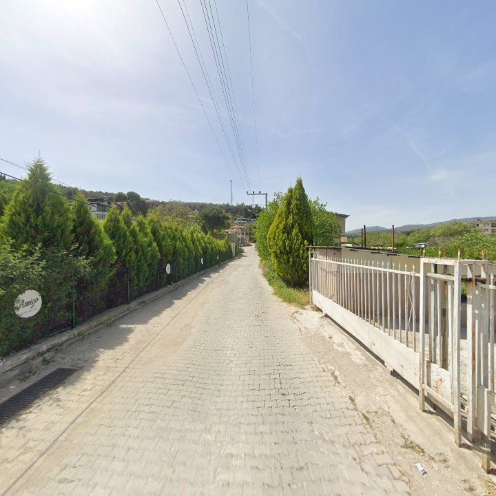 Fotoğraf 9