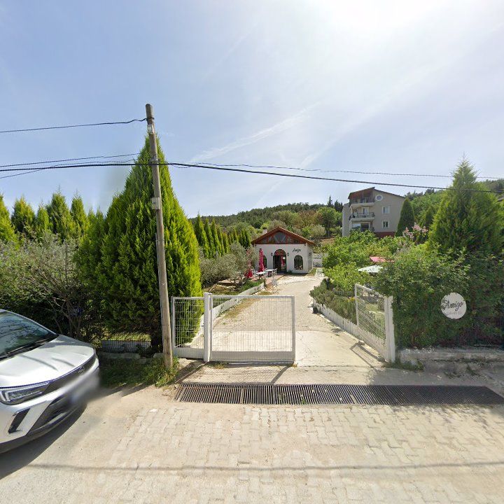 Fotoğraf 8