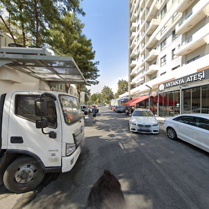 Fotoğraf 4