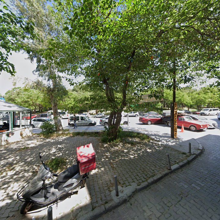 Fotoğraf 11