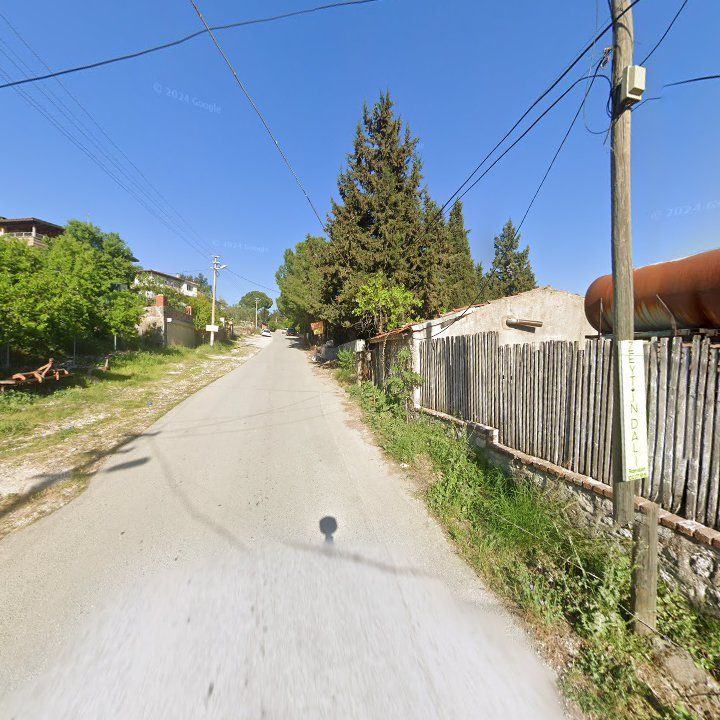 Fotoğraf 12