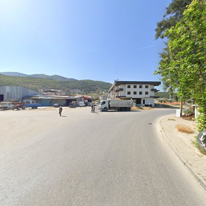 Fotoğraf 7