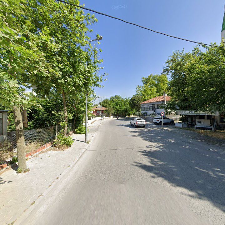 Fotoğraf 9