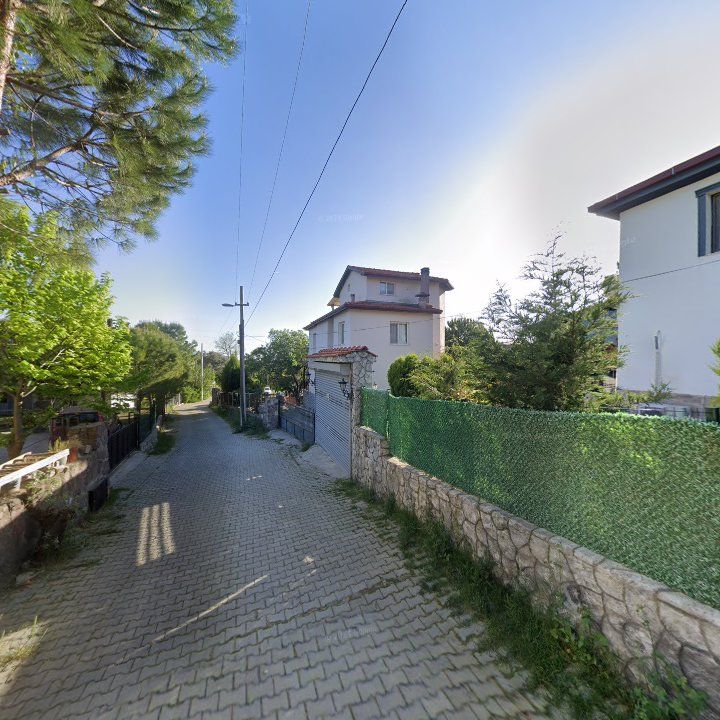 Fotoğraf 10
