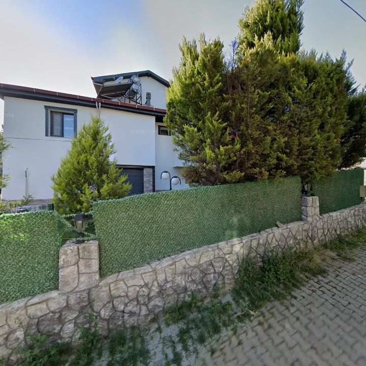 Fotoğraf 11