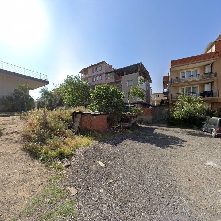 Fotoğraf 8