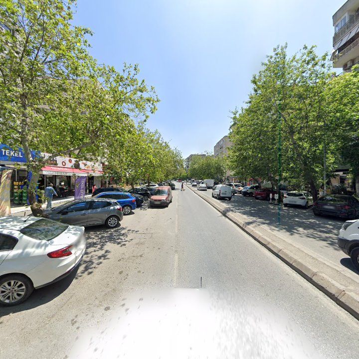 Fotoğraf 11